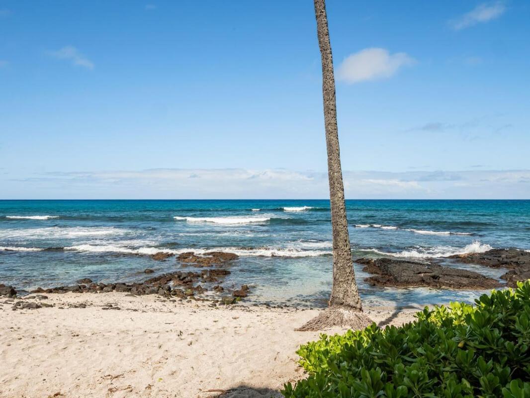 Oceanfront 1 Bedroom 2 Bathroom With Large Lanai - Kona Bali Kai 218 Kailua-Kona Exterior foto