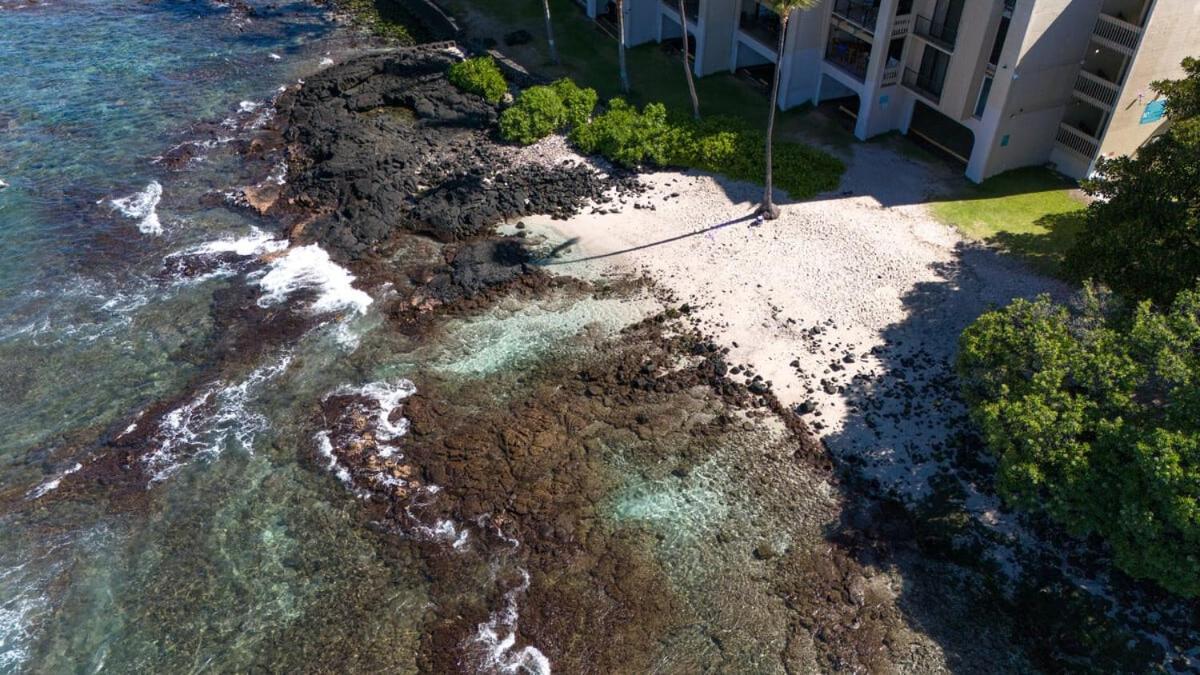 Oceanfront 1 Bedroom 2 Bathroom With Large Lanai - Kona Bali Kai 218 Kailua-Kona Exterior foto