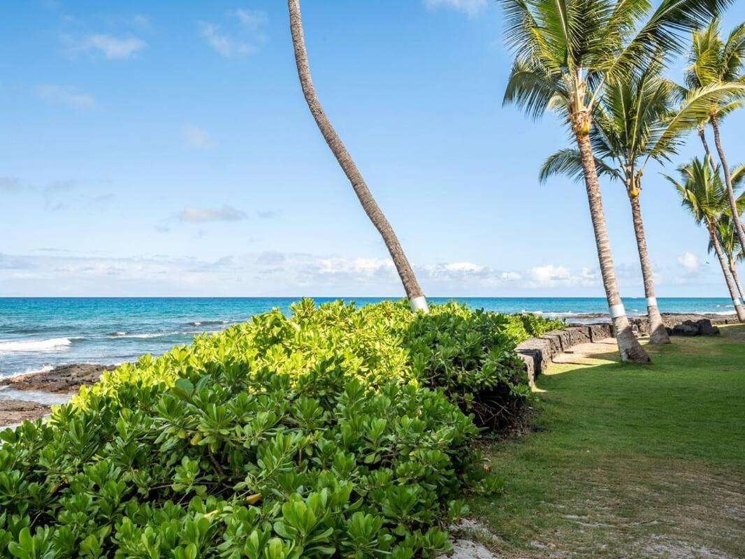 Oceanfront 1 Bedroom 2 Bathroom With Large Lanai - Kona Bali Kai 218 Kailua-Kona Exterior foto