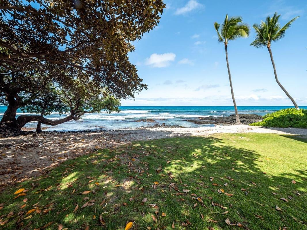 Oceanfront 1 Bedroom 2 Bathroom With Large Lanai - Kona Bali Kai 218 Kailua-Kona Exterior foto